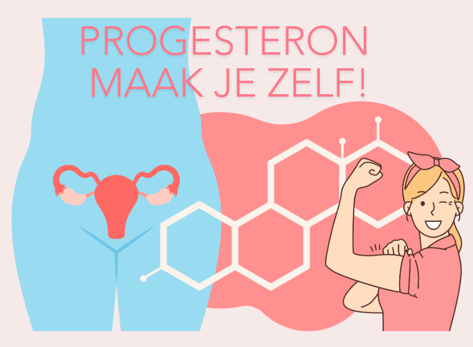 Het hormoon progesteron maak je zelf als je ovulaties hebt. Tijdens het gebruik van anticonceptie heb je meestal geen ovulatie dus mis je de geweldige power van natuurlijke progesteron. In pillen en andere zit geen progesteron.